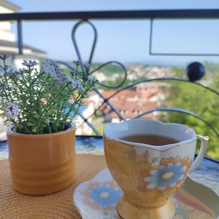 Desanka 아파트 Vrnjačka Banja