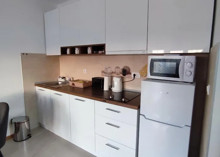 Desanka Apartman Vrnjacka Banja