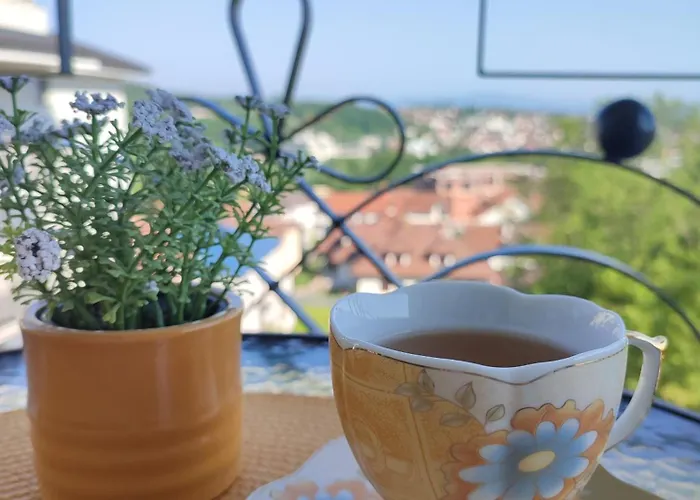 Desanka Apartman Vrnjacka Banja